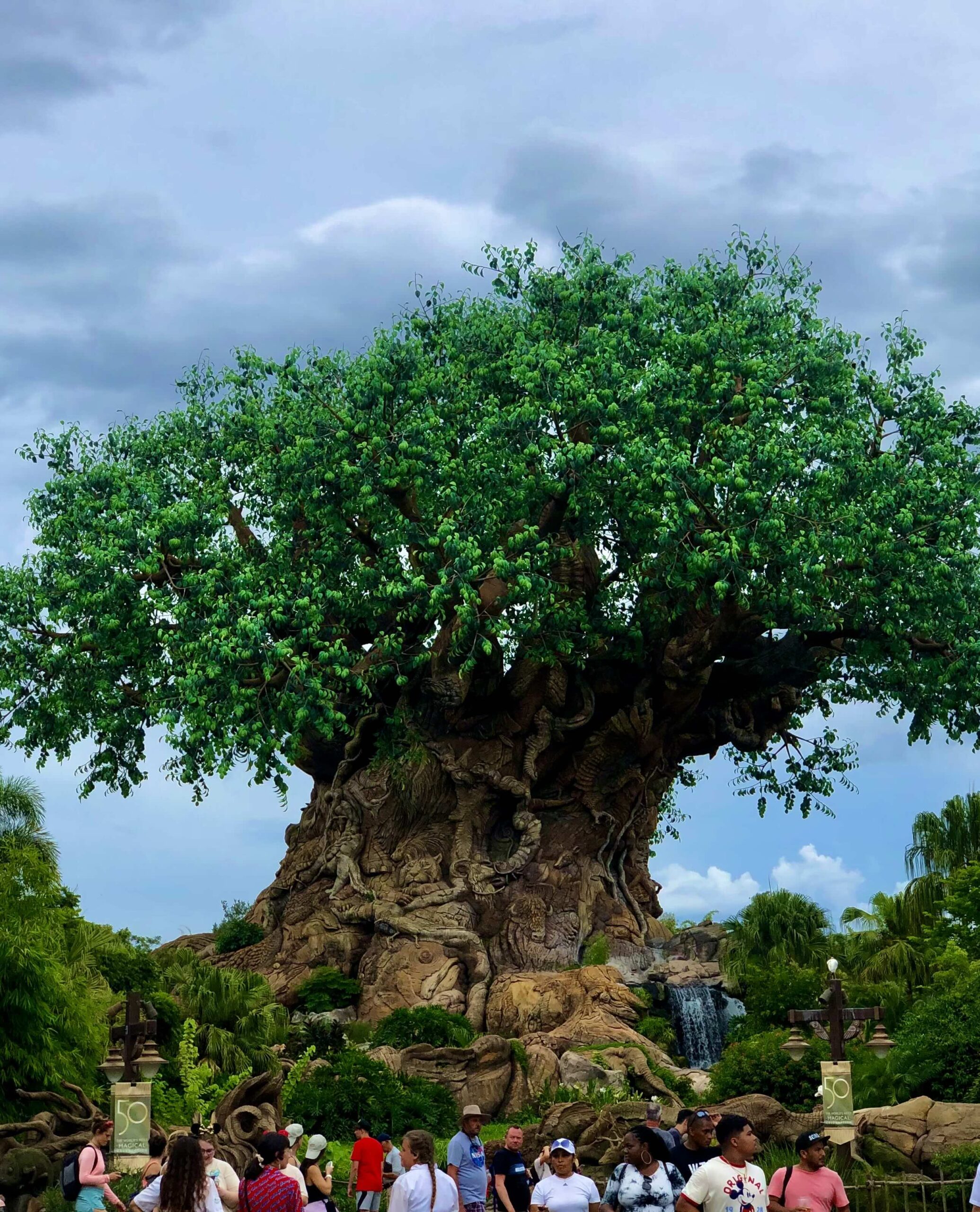 The Story Behind Animal Kingdom’s Tree of Life